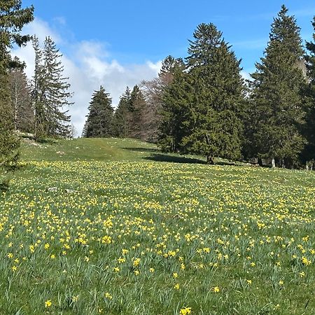 B&B Biel-Bruegg Brugg  외부 사진