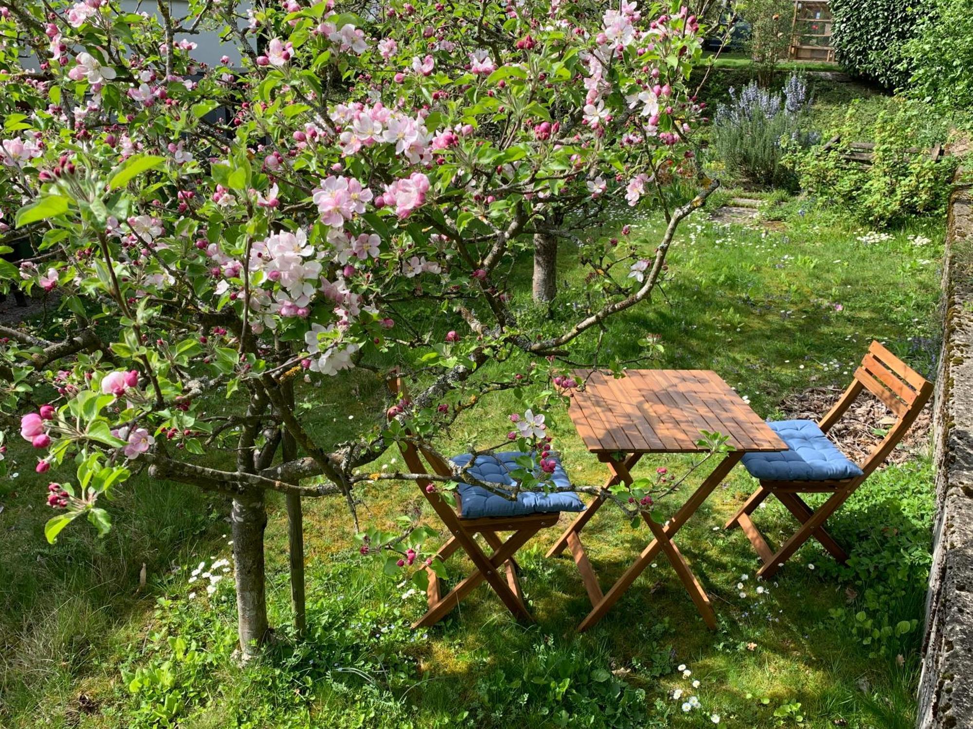 B&B Biel-Bruegg Brugg  외부 사진