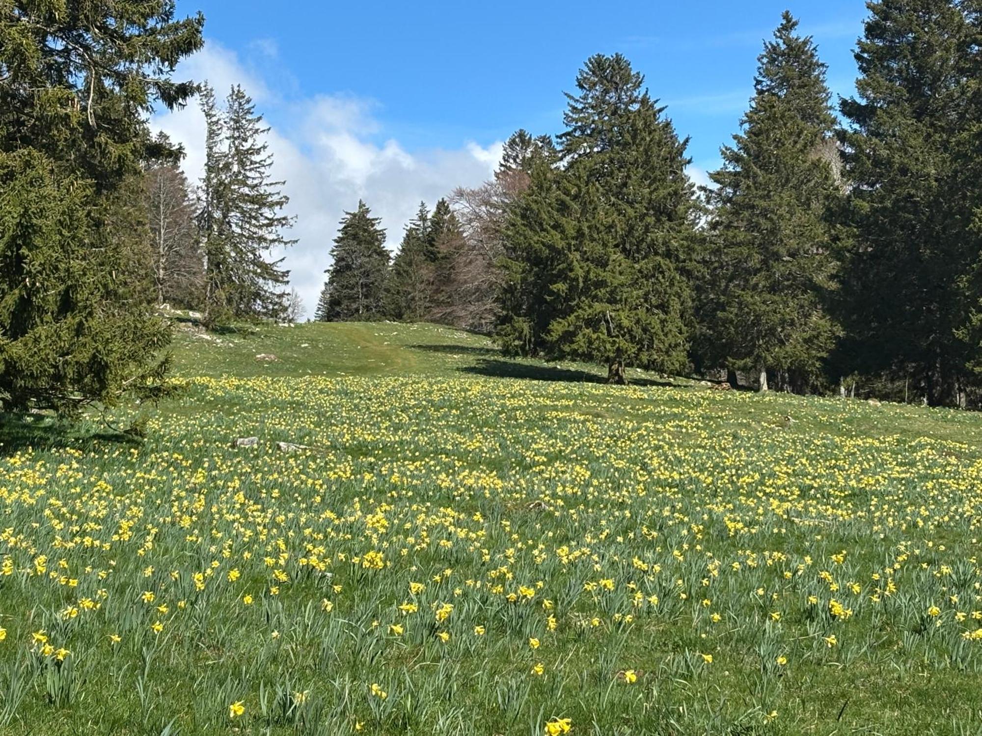 B&B Biel-Bruegg Brugg  외부 사진